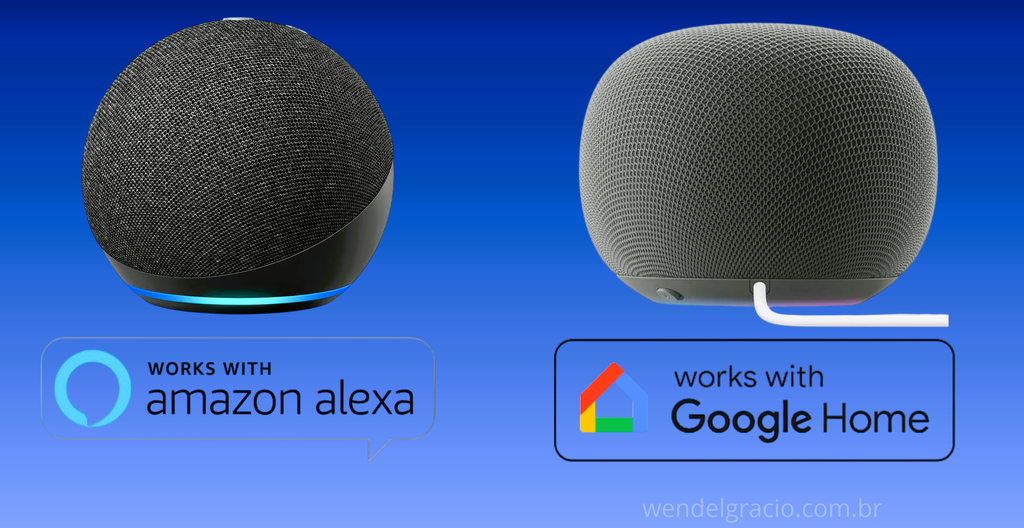 Amazon Alexa vs Google Home